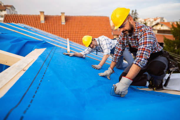 Steel Roofing in Edgemont Park, MI
