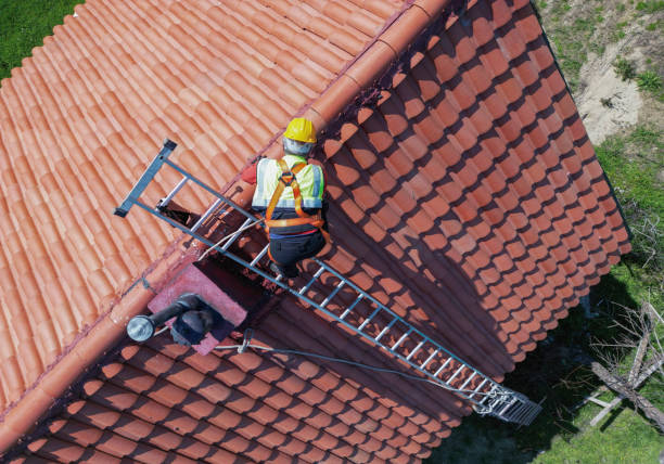 Best Rubber Roofing (EPDM, TPO)  in Edgemont Park, MI