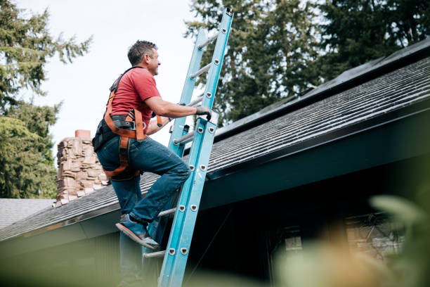 4 Ply Roofing in Edgemont Park, MI